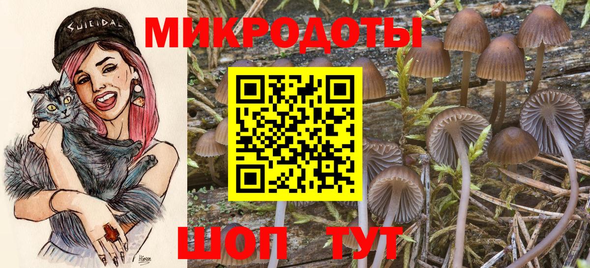 Галлюциногенные грибы Cubensis Рубцовск